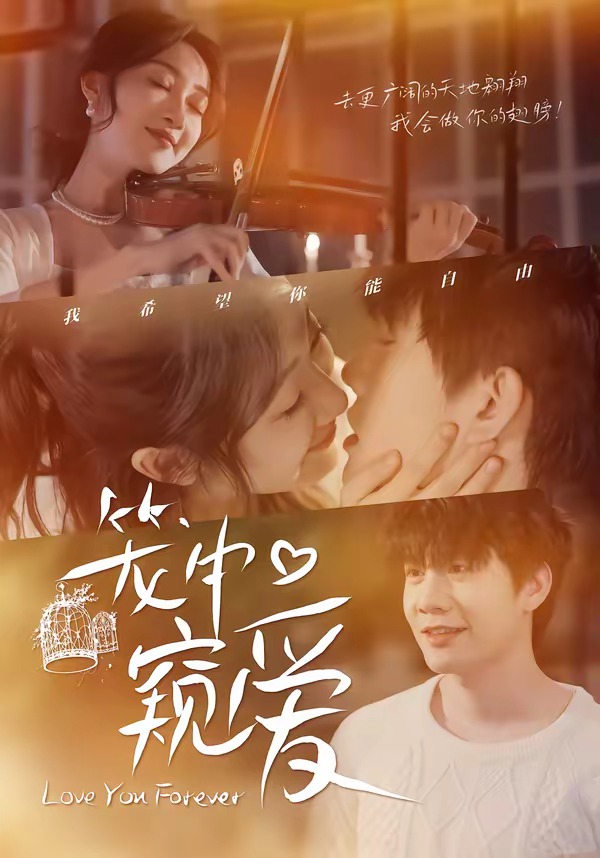 笼中窥爱