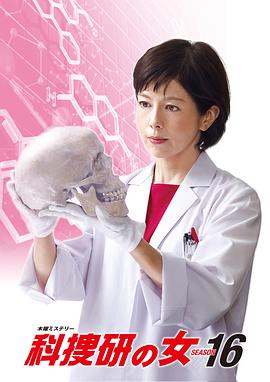 科搜研之女第十六季