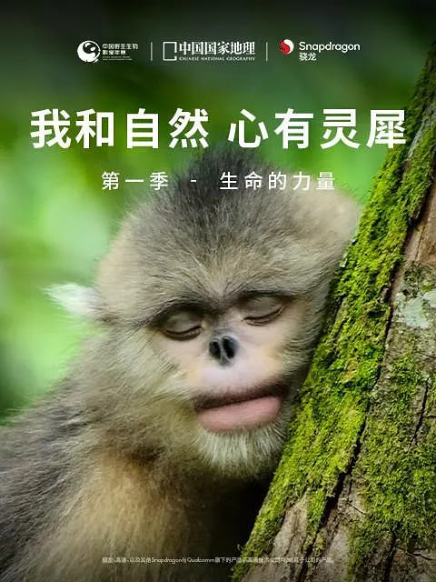 我和自然心有灵犀第一季