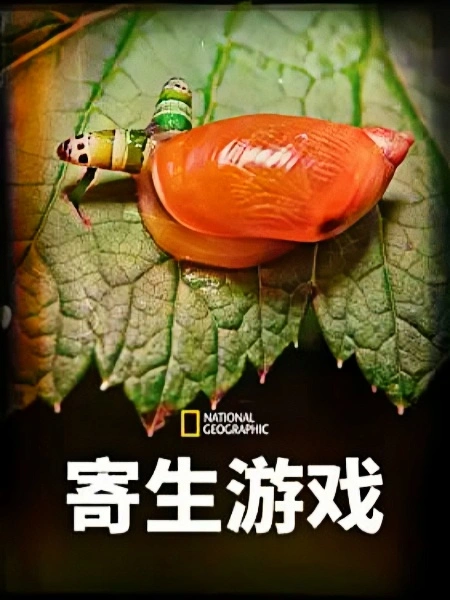 寄生游戏第一季国语版