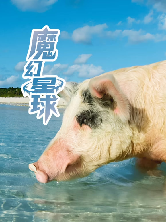 魔幻星球