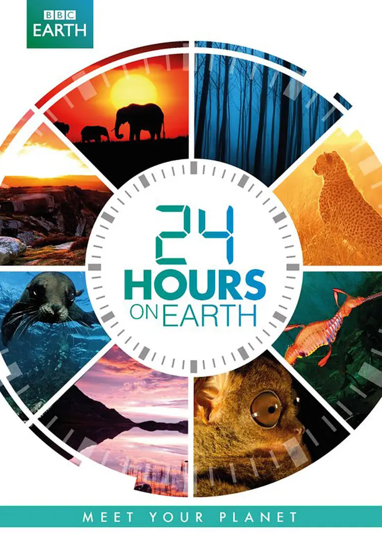地球一日2014